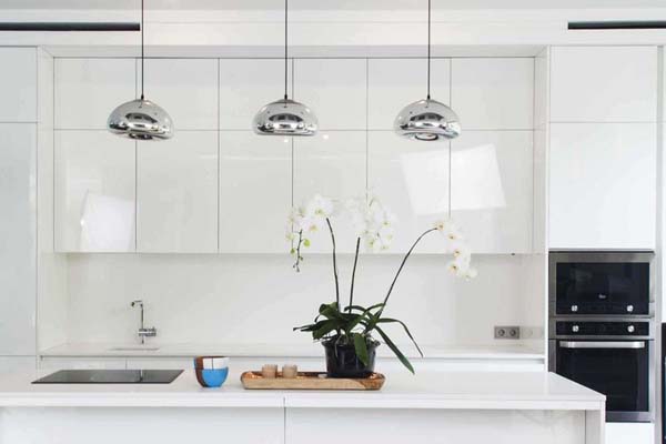 7 Tanaman Hias yang dapat Mempercantik Dapur Rumahmu