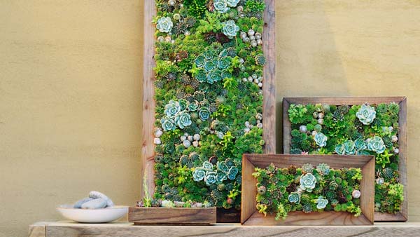 Inspirasi Vertical Garden Yang Bikin Suasana Rumah Lebih Hidup!