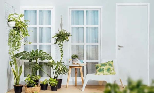 Inspirasi Jendela Kayu Minimalis