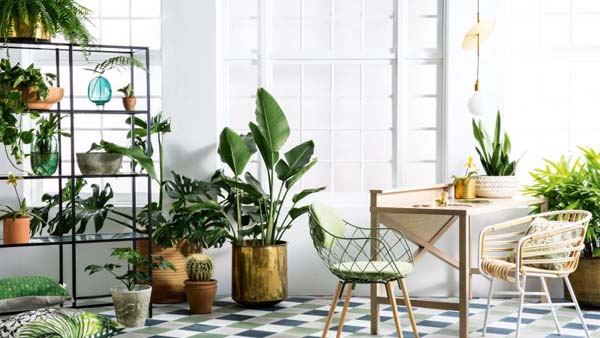 Tips Desain Rumah Anti