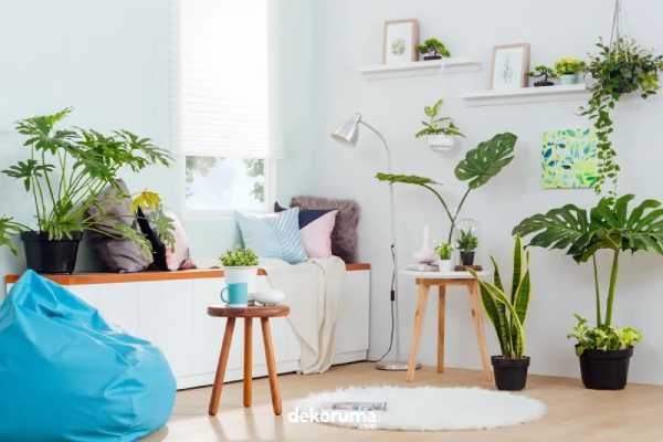 Dekorasi Rumah Modern Minimalis